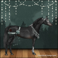 Horse Color:Gray Brown Tobiano 