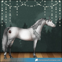 Horse Color:Gray Brown Tobiano 