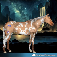 Horse Color:White Spotted Silver Bay Dun