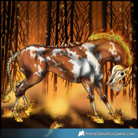 Horse Color:White Spotted Silver Bay 