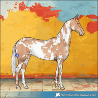 Horse Color:White Spotted Silver Amber Champagne 