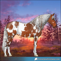 Horse Color:White Spotted Silver Bay 