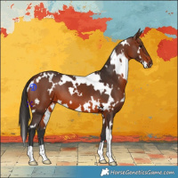 Horse Color:White Spotted Brown 
