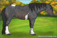 Horse Color:Brown Ice Tobiano 