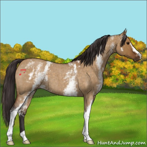 Horse Color:White Spotted Buckskin Roan Dun 