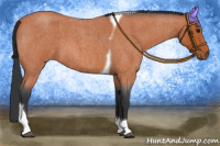 Horse Color:Bay Roan Tobiano 