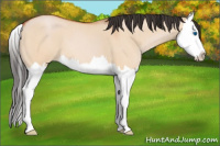 Horse Color:Bay Roan Dun Splash