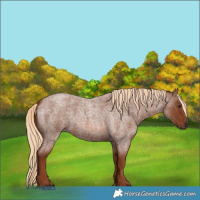 Horse Color:Red Roan 
