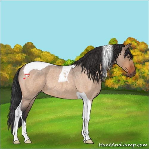 Horse Color:Bay Roan Dun Tobiano 