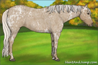 Horse Color:Silver Smoky Blue Ice Roan 