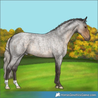 Horse Color:Silver Smoky Blue Roan