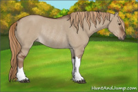 Horse Color:Liver Red Dun Rabicano