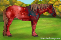 Horse Color:ERROR: UNKNOWN ANOMALY