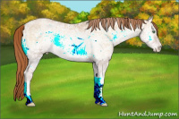 Horse Color:Buckskin Ice Pearl Onyx Tobiano