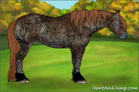 Horse Color:Red Onyx Ice 