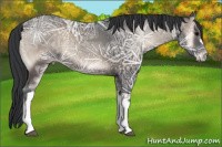 Horse Color:Blue Onyx Ice 