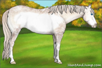 Horse Color:Silver Blue Onyx Ice Pearl Frame