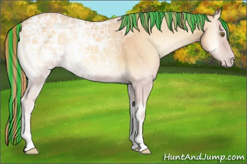 Horse Color:Painted Gold Champagne Ice Onyx 
