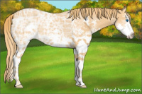 Horse Color:White Spotted Chestnut Ice Splash 