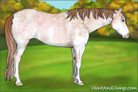 Horse Color:Brown Ice Pearl Splash 
