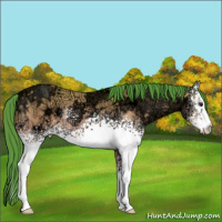 Horse Color:Watercolor White Spotted Bay Ice Dun 