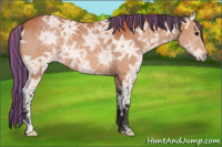 Horse Color:Painted Bay Ice 