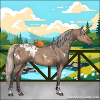 Horse Color:White Spotted Silver Brown Ice Dun Appaloosa 