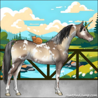 Horse Color:White Spotted Liver Red Dun Onyx Rabicano 