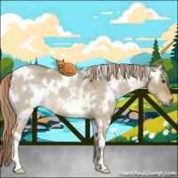 Horse Color:White Spotted Chocolate Palomino Roan Dun 