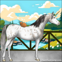 Horse Color:White Spotted Brown Ice Roan Dun Splash Appaloosa 