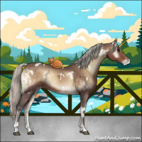 Horse Color:White Spotted Silver Brown Ice Onyx Appaloosa 