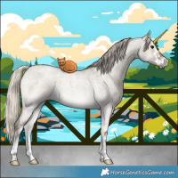 Horse Color:White Spotted Silver Smoky Grullo Roan Onyx Rabicano 