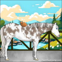 Horse Color:White Spotted Silver Grullo Roan Splash 