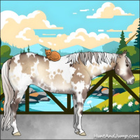 Horse Color:White Spotted Silver Brown Onyx Rabicano 