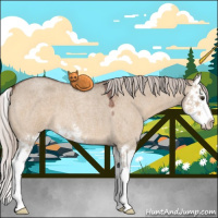 Horse Color:Silver Brown Roan Dun Sabino Splash Appaloosa 