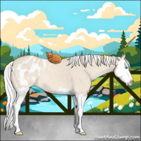 Horse Color:Silver Smoky Creme Dun Sabino Splash Appaloosa 