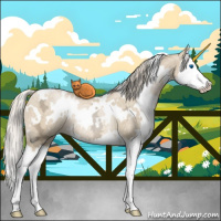 Horse Color:White Spotted Chocolate Palomino Ice Roan Pearl Dun Splash Rabicano