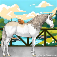 Horse Color:Palomino Roan Onyx Splash Appaloosa Rabicano