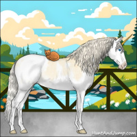 Horse Color:Palomino Roan Dun Splash Appaloosa Rabicano 