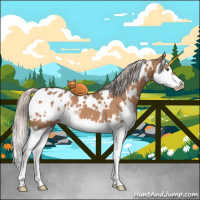 Horse Color:White Spotted Silver Brown Dun Splash Appaloosa 