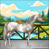 Horse Color:White Spotted Silver Bay Ice Dun Sabino Blanket Rabicano