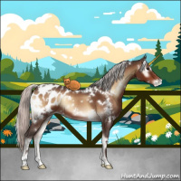Horse Color:White Spotted Silver Brown Onyx Appaloosa 