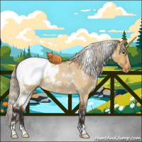 Horse Color:White Spotted Silver Buckskin Roan Dun Appaloosa Rabicano 