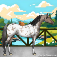 Horse Color:White Spotted Brown Ice Roan Dun Appaloosa Rabicano 