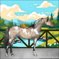 Horse Color:White Spotted Brown Dun Appaloosa 