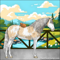 Horse Color:White Spotted Silver Buckskin Ice Roan Dun Splash 