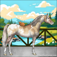 Horse Color:White Spotted Silver Buckskin Ice Onyx Varnish Rabicano 