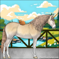Horse Color:Palomino Roan Onyx 