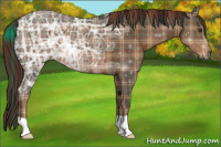 Horse Color:Plaid  Liver Chestnut Ice 