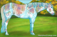 Horse Color:Nacre Thunderstruck Chestnut Sabino Splash 